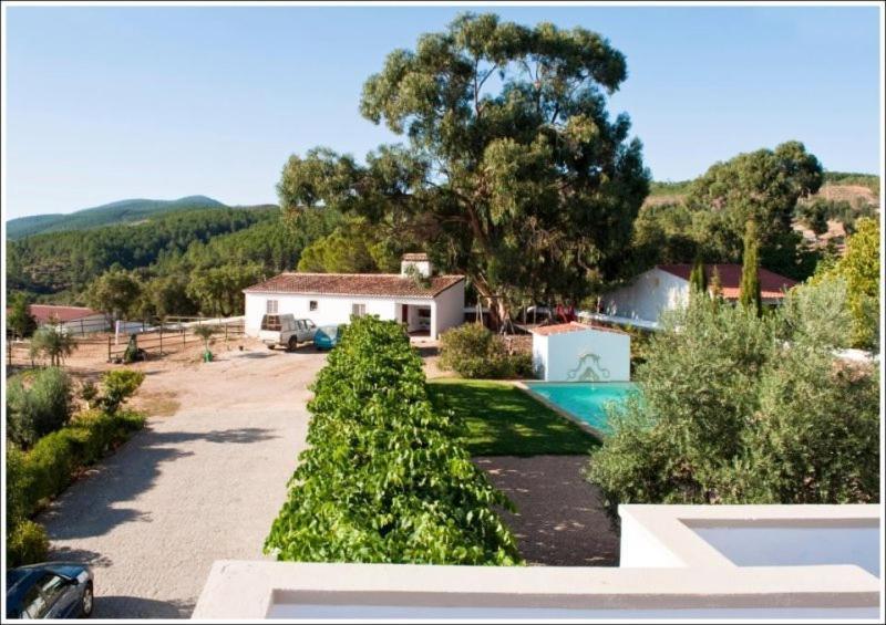 לינה וארוחת בוקר Casa D'Alegrete מראה חיצוני תמונה